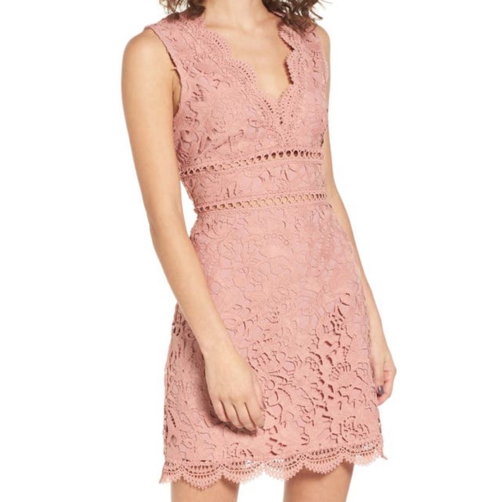 Rose Lace Mini Dress